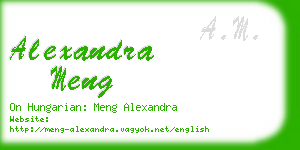 alexandra meng business card